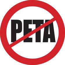 What You Should Know if You Make Contributions to PETA