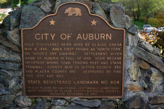 Auburn, California Considers Breed-Specific Restrictions for 5 Breeds Considered to be “Pit Bulls”