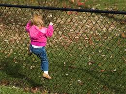 South Dakota “pit bull” protects wayward toddler; that’s why they call them the ‘Nanny Dog’