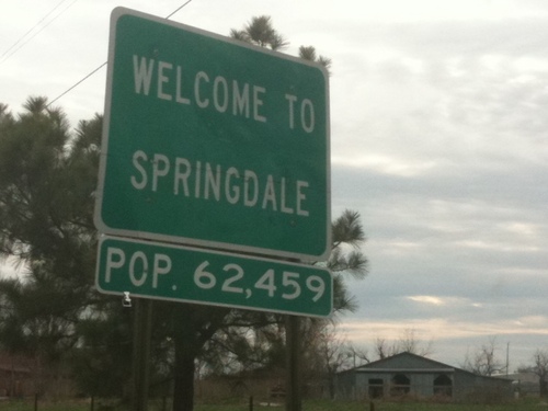 Springdale, Arkansas Pursues Breed Ban, Yet Has Dog Containment Problem